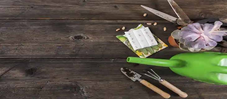 لامپ رشد گیاه